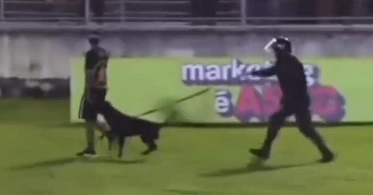 Torcedor do ASA perseguido por cachorro