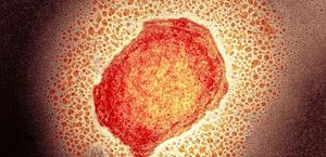 Pesquisa mostra que antiviral é eficaz contra varíola de macaco