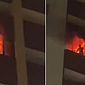 Vídeo: casal e cão morrem em incêndio em hotel de Fortaleza