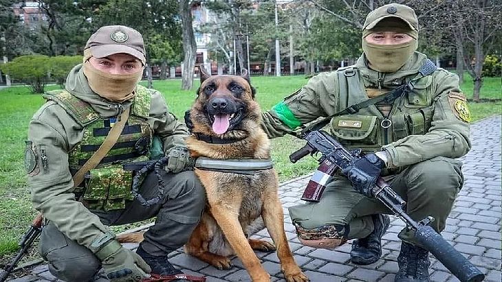 O cão Max ao lado de soldados ucranianos