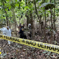 Amazônia tem taxa de assassinatos superior à média nacional