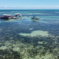 Operação Oceano mostra o turismo predatório e uma lição de preservação na Costa dos Corais