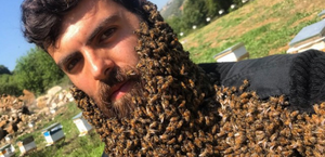 Vídeo: apicultor libanês faz sucesso nas redes sociais com fotos coberto por abelhas
