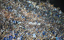 CSA leva quase 11 mil torcedores ao Rei Pelé em vitória sobre Figueirense; veja médias