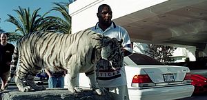 Mike Tyson perdeu tigre “de estimação” após felino tentar comer cachorro do vizinho