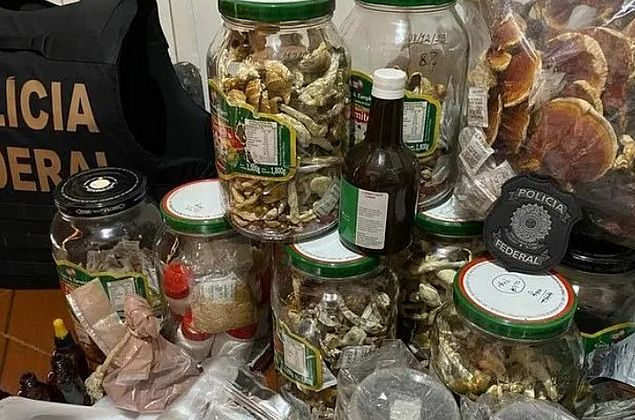 PF faz operação contra venda de cogumelos alucinógenos pela internet