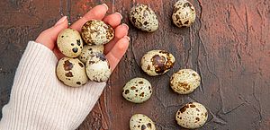 Veja os benefícios do ovo de codorna para a saúde
