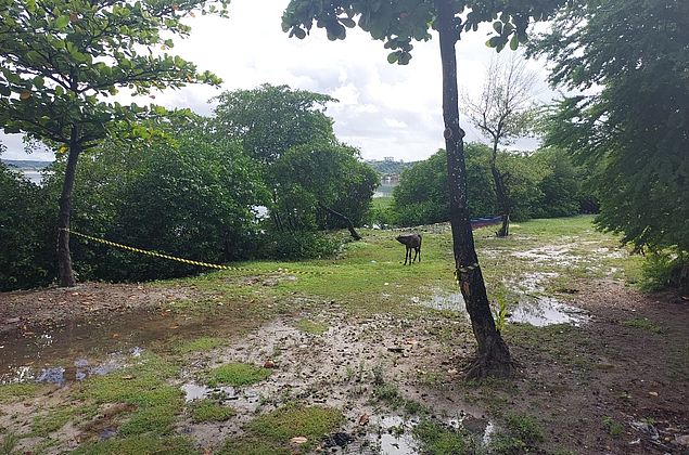 Vídeo: corpo de homem com sinais de violência é encontrado boiando na laguna Mundaú