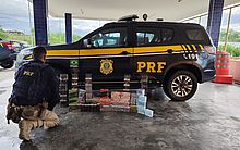 Carga de cigarros eletrônicos é apreendida pela Polícia Rodoviária Federal, em Canapi 