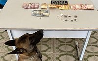 Cão da PM fareja maconha e cocaína e homem é preso suspeito de tráfico em Arapiraca
