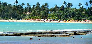 Bombeiro é atacado por cães em praia do Litoral Norte de Alagoas