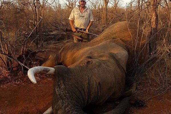 Riaan Naude era conhecido por caçar leões, girafas e elefantes e publicar fotos com os animais mortos nas redes; caso está sendo investigado