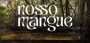 Pajuçara Social assina série especial sobre a importância dos manguezais