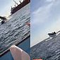 Baleia salta e cai em cima de barco com turistas no México; veja vídeo