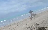 Vídeo: criança é atingida por cavalo na areia da Praia de Pajuçara