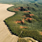 Desmatamento no Cerrado emite 135 milhões de toneladas de CO2 desde 2023