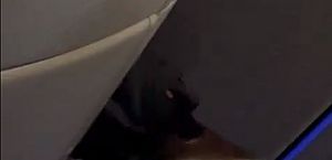 Turbulência: vídeo mostra passageiro resgatado no teto de avião, em voo internacional