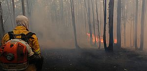 Saiba como agir se perceber um foco de incêndio perto de casa ou na estrada