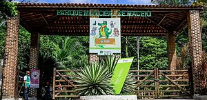 Trilhas do Parque Municipal de Maceió serão reabertas nesta quarta-feira (18)