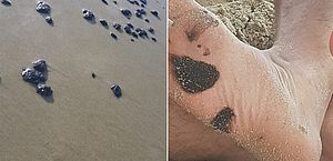 Manchas de óleo atingem praia de Fortaleza e outras nove praias do litoral do Ceará