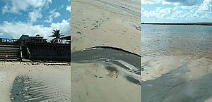 Vídeo: banhista flagra esgoto desaguando em mar de praia que estava própria para banho em Alagoas