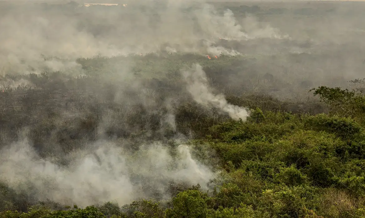 Militares do Exército começam a combater incêndios no Tocantins